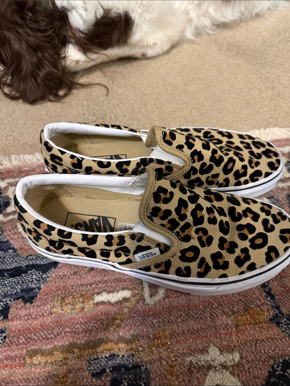 Vans Women’s Slip-On Sneakers in Leopard Print - Tan/Black - Picture 3 of 7